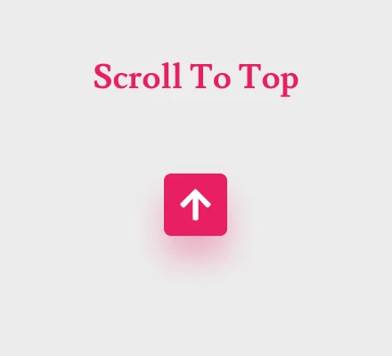 Scroll To Top